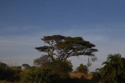 DSC_3751 (Large).JPG